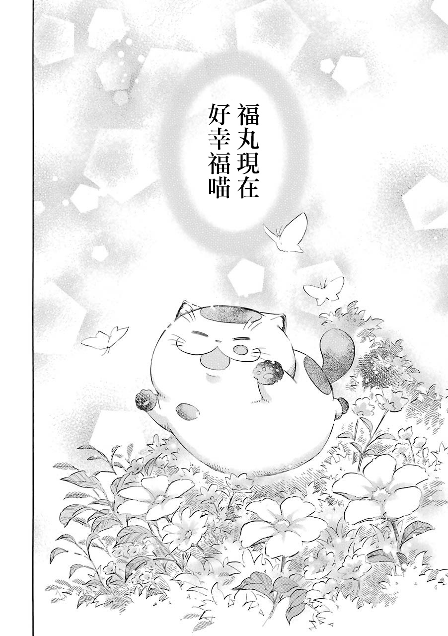 第33.2话-大叔与猫-樱井海（第6张）