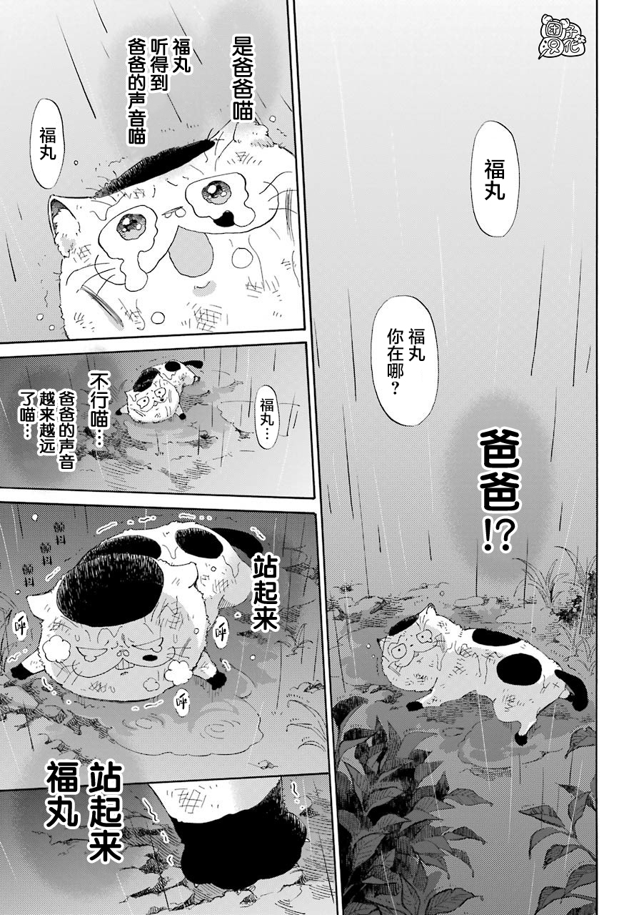第54话-大叔与猫-樱井海（第11张）