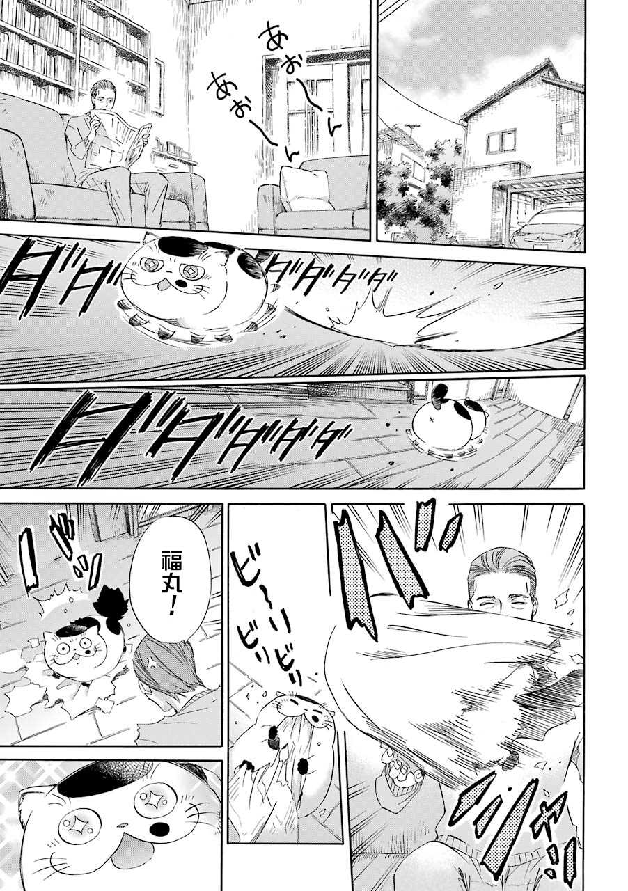 第31.1话-大叔与猫-樱井海（第7张）