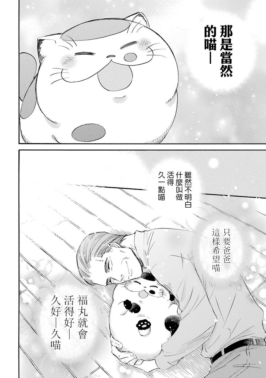 第33话-大叔与猫-樱井海（第11张）