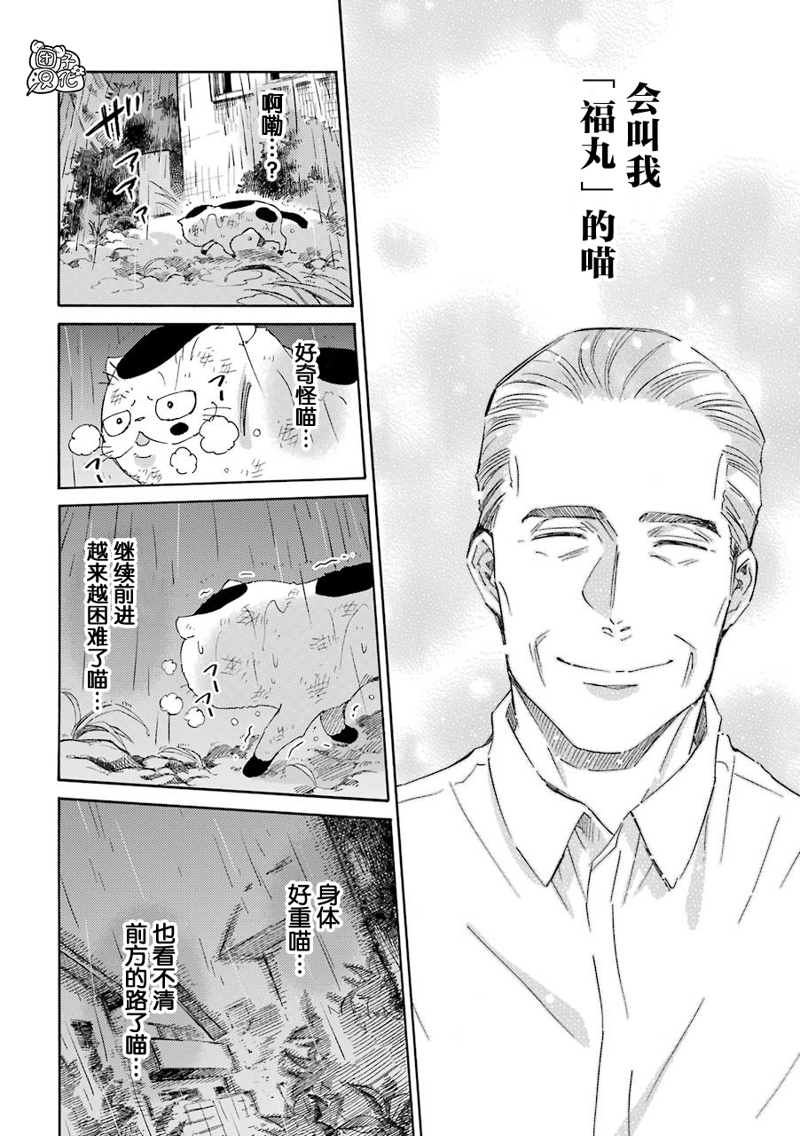 第54话-大叔与猫-樱井海（第8张）