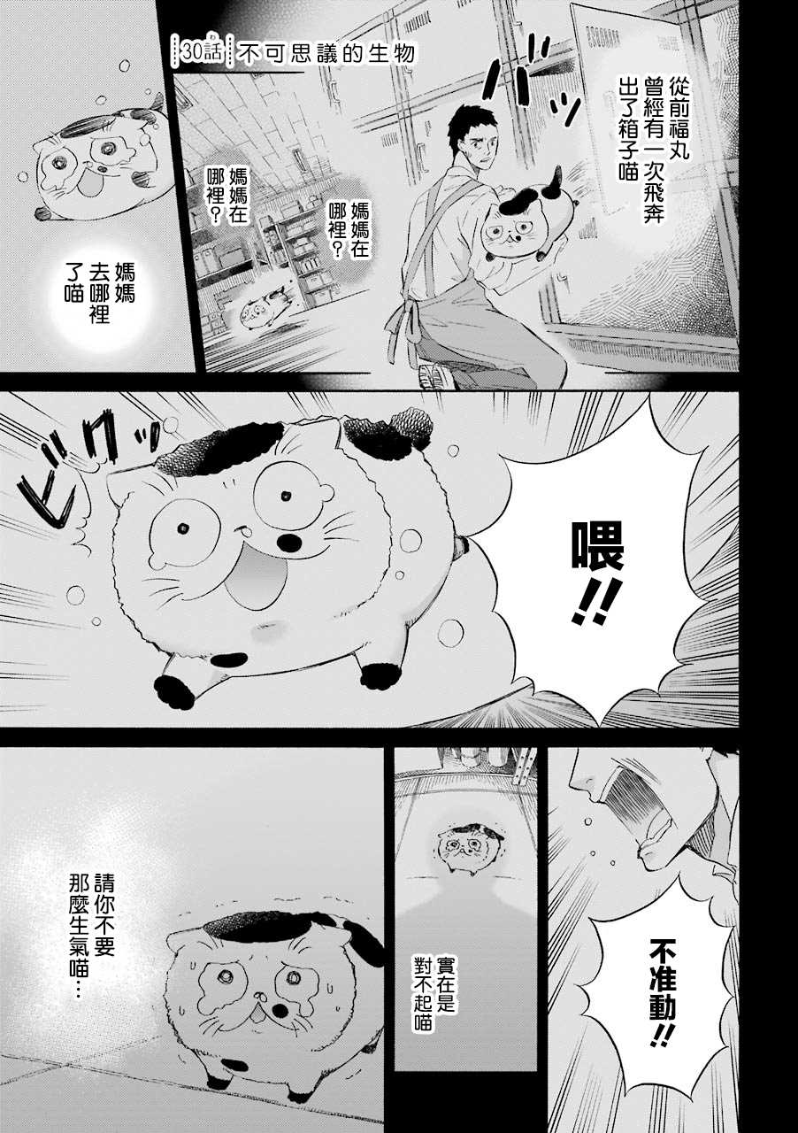 第32话-大叔与猫-樱井海（第5张）