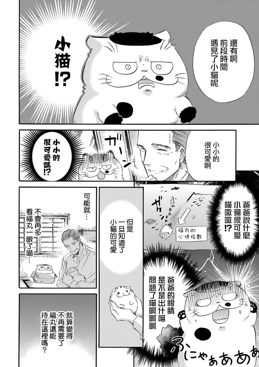 第31话-大叔与猫-樱井海（第6张）