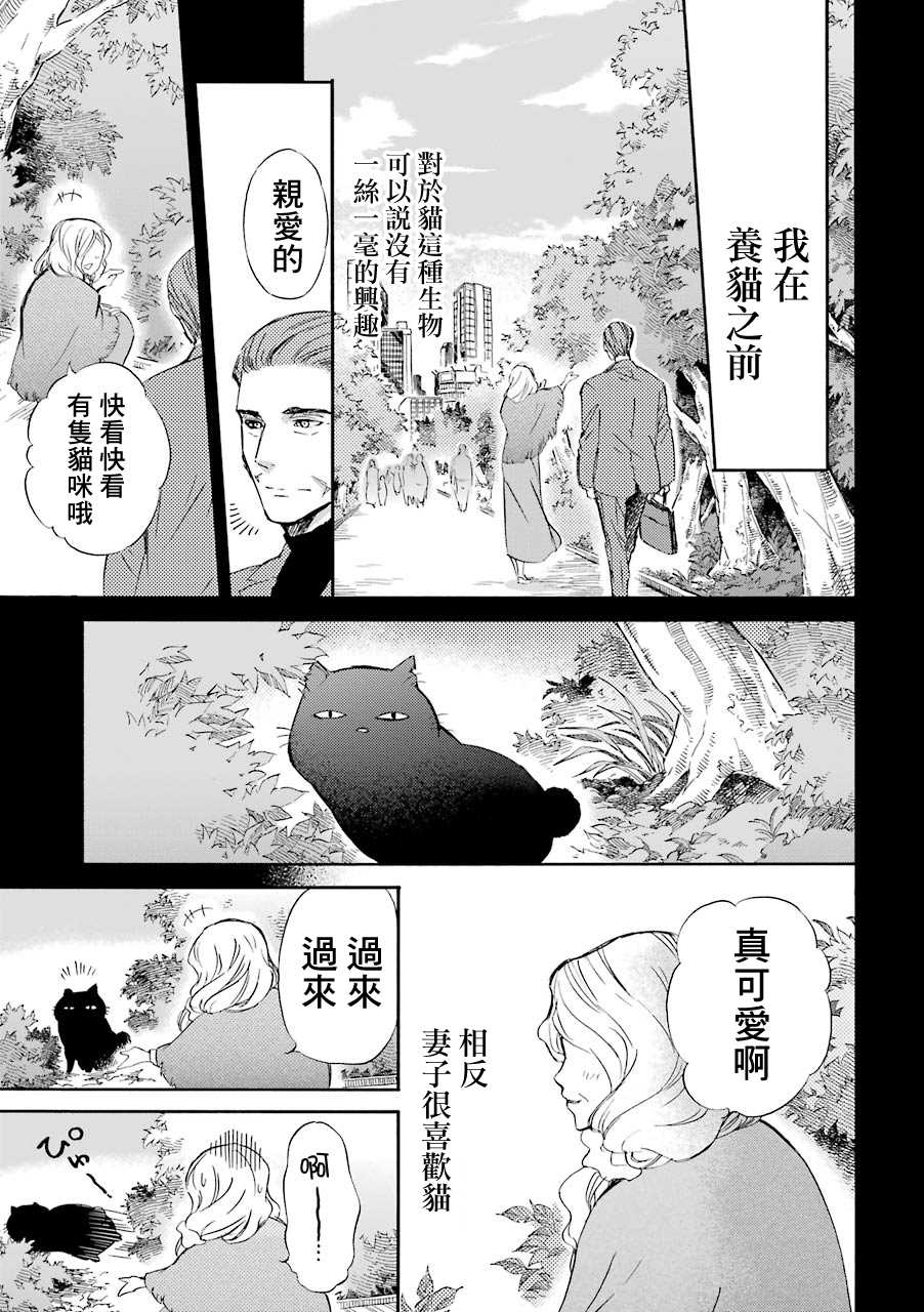 第29.1话-大叔与猫-樱井海（第9张）
