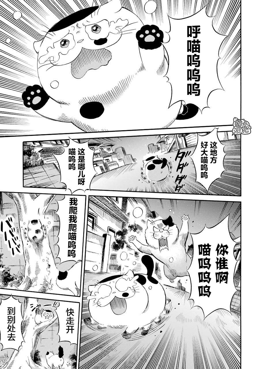 第50话-大叔与猫-樱井海（第3张）