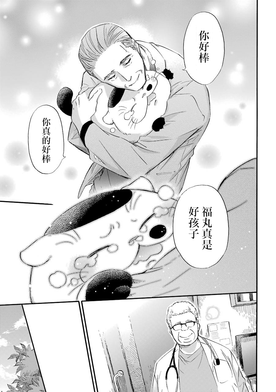 第33.1话-大叔与猫-樱井海（第14张）
