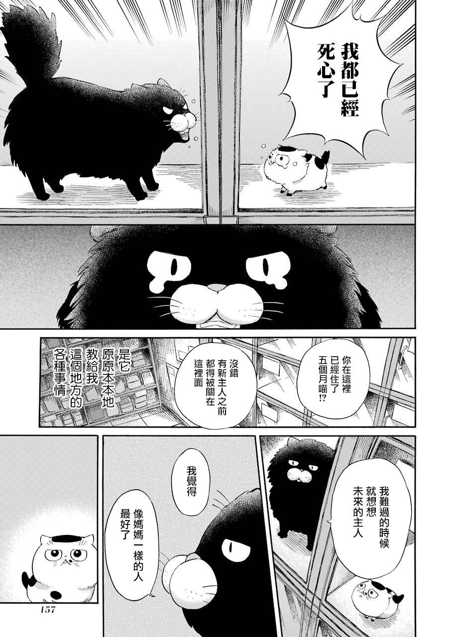 第47话-大叔与猫-樱井海（第4张）