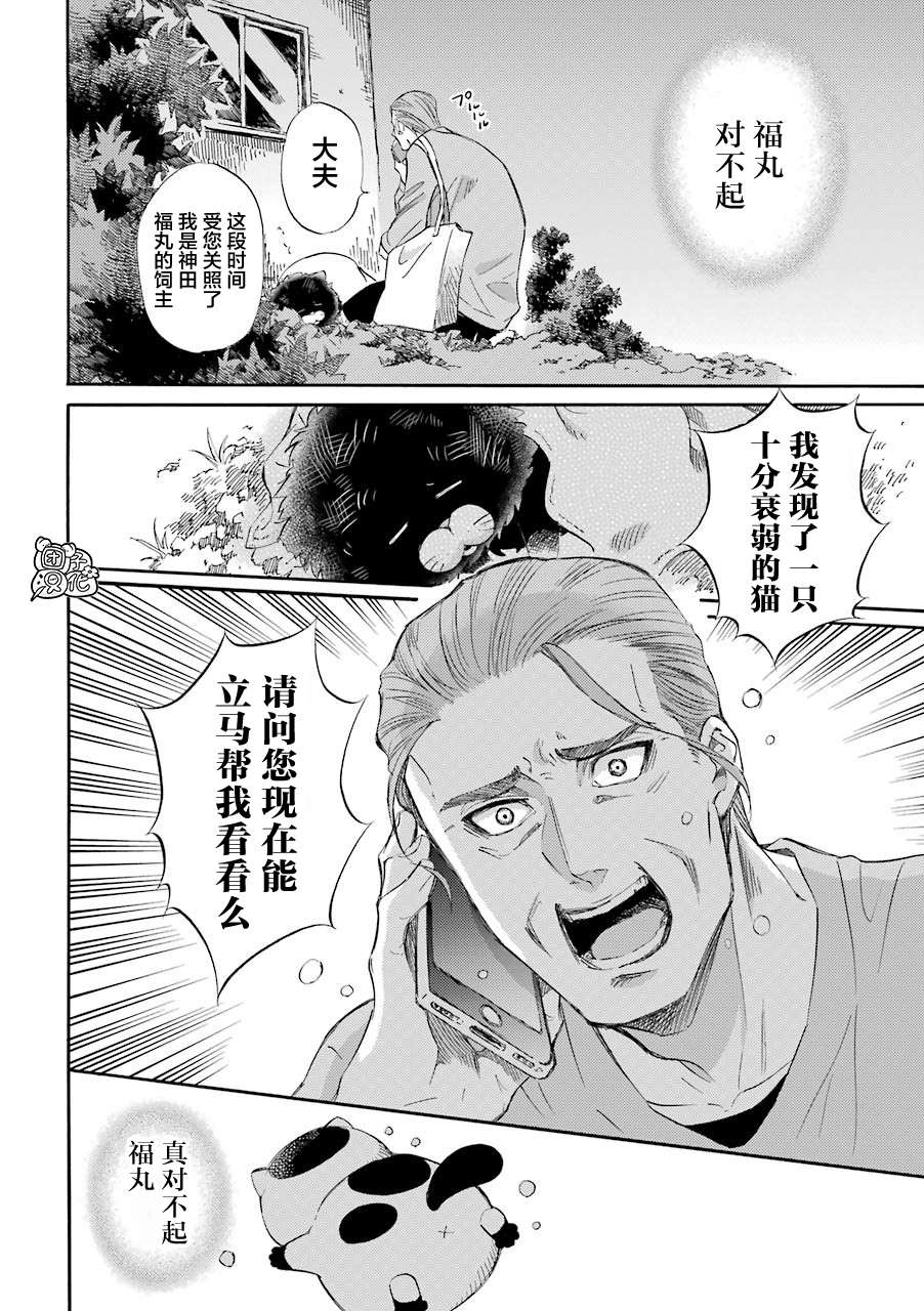 第49话-大叔与猫-樱井海（第14张）