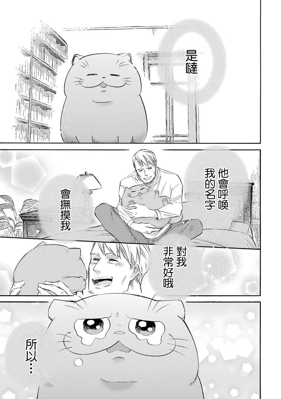 第42话-大叔与猫-樱井海（第11张）