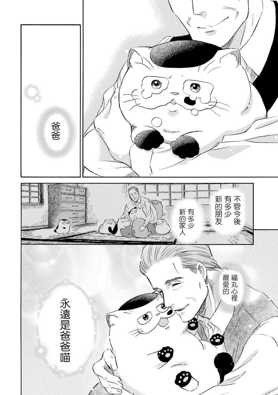 第42.1话-大叔与猫-樱井海（第8张）