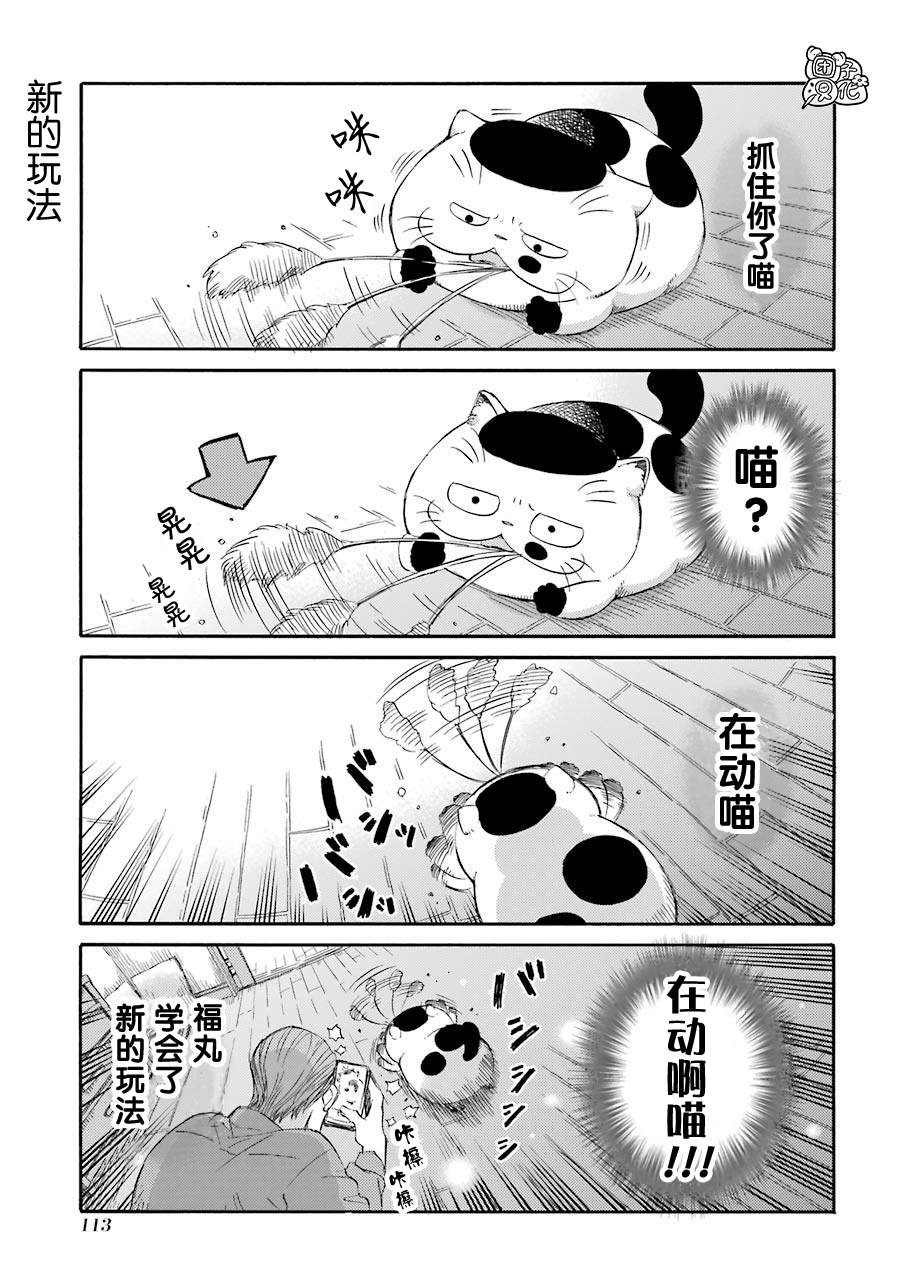 第54.1话-大叔与猫-樱井海（第11张）