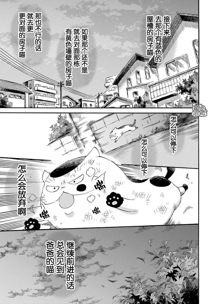第54话-大叔与猫-樱井海（第5张）