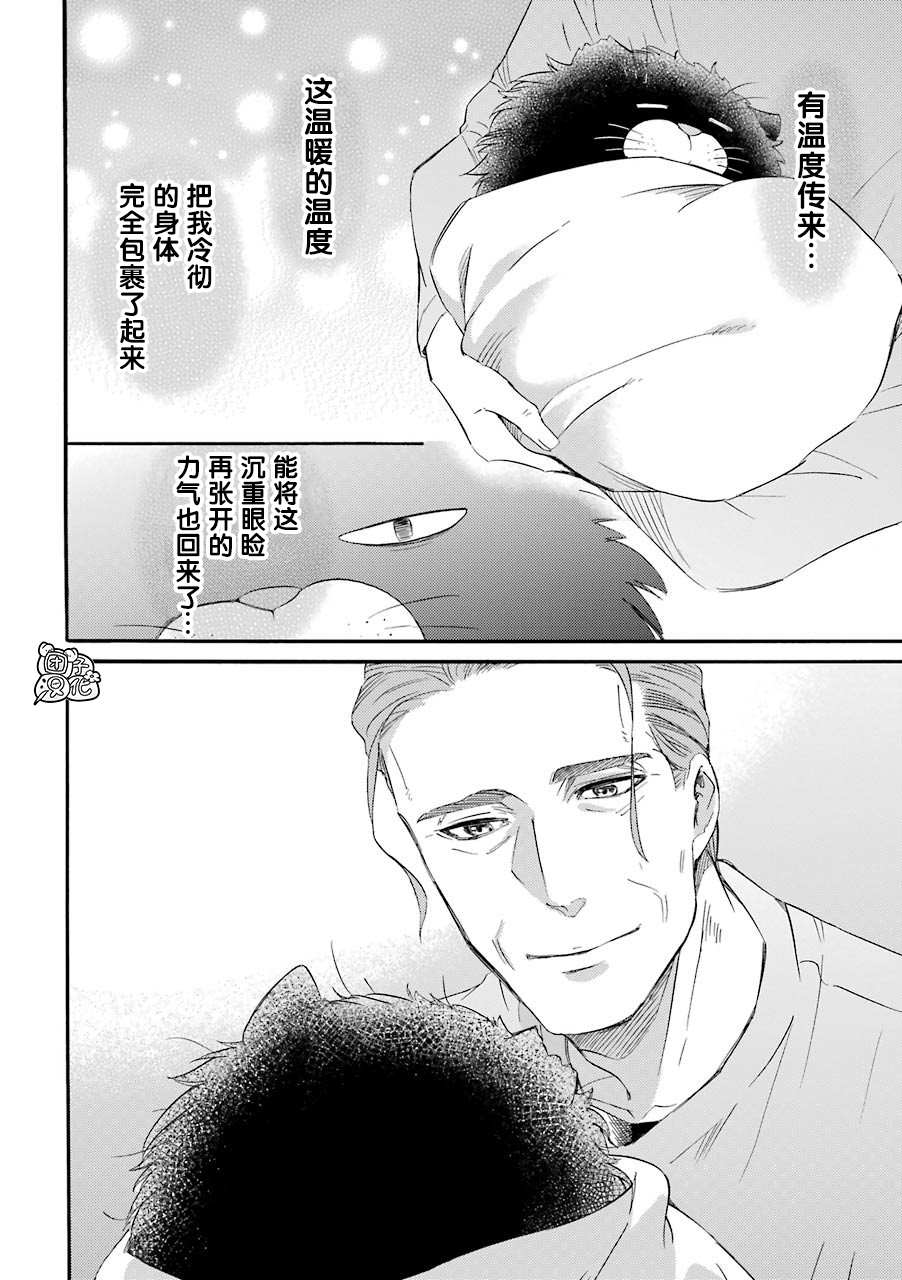 第51话-大叔与猫-樱井海（第2张）