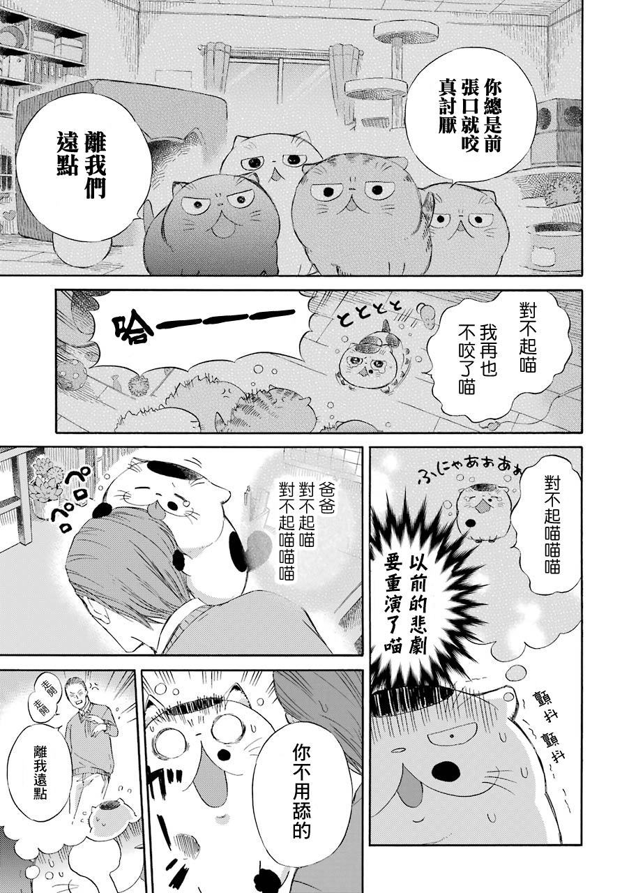 第33话-大叔与猫-樱井海（第6张）