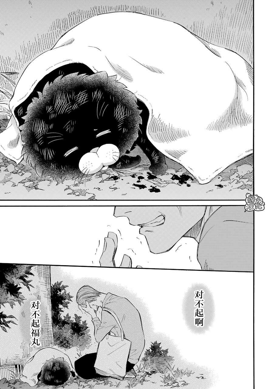 第49话-大叔与猫-樱井海（第13张）