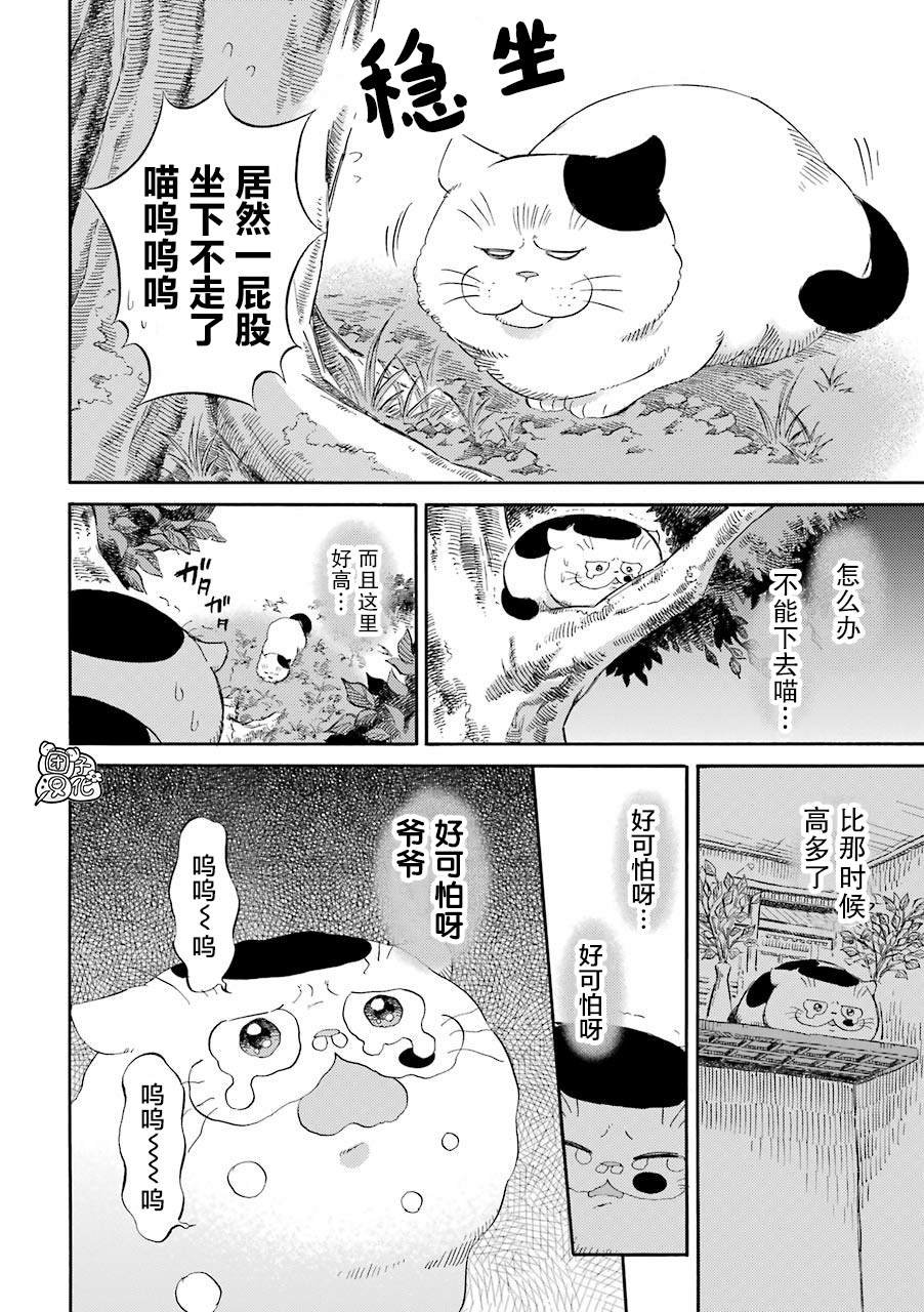 第50话-大叔与猫-樱井海（第4张）