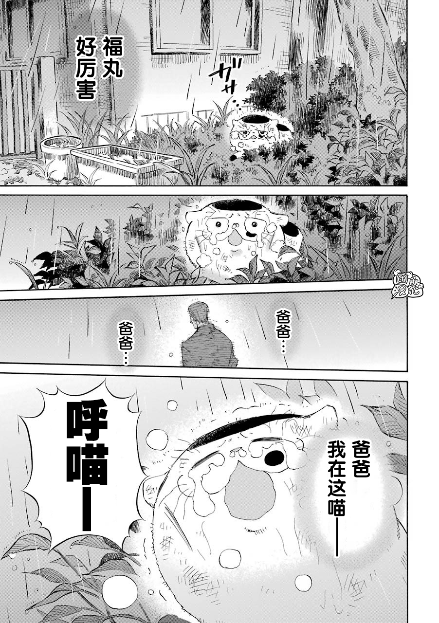 第54话-大叔与猫-樱井海（第17张）