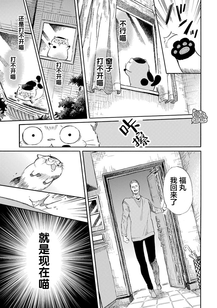 第49话-大叔与猫-樱井海（第5张）