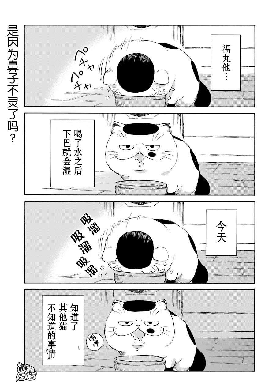 第54.1话-大叔与猫-樱井海（第13张）
