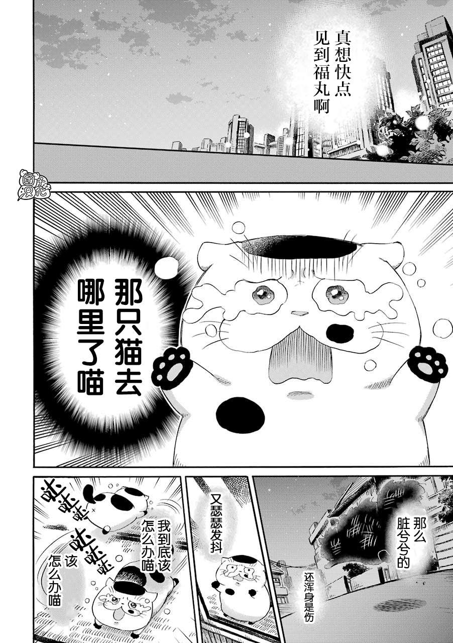 第49话-大叔与猫-樱井海（第4张）