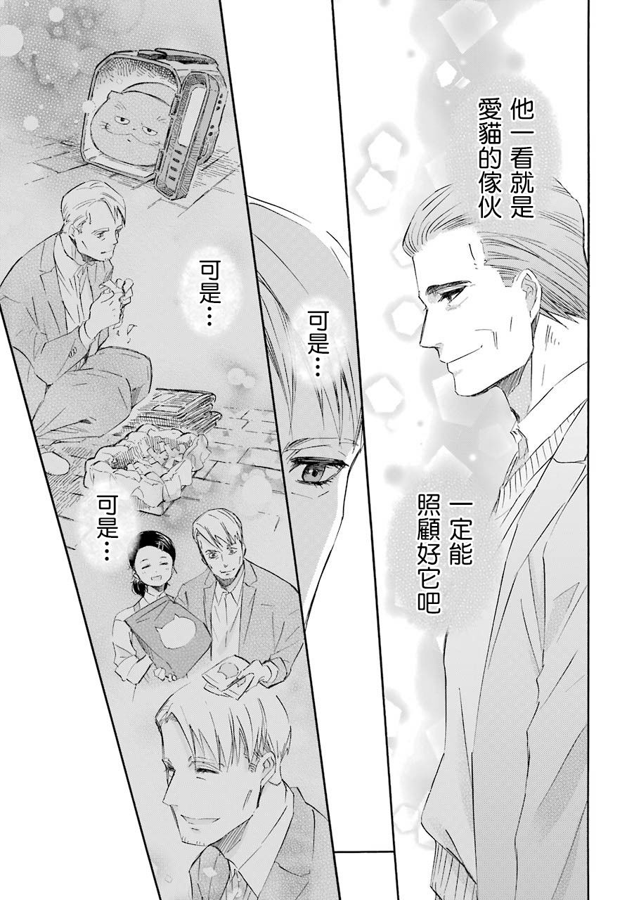 第40话-大叔与猫-樱井海（第5张）