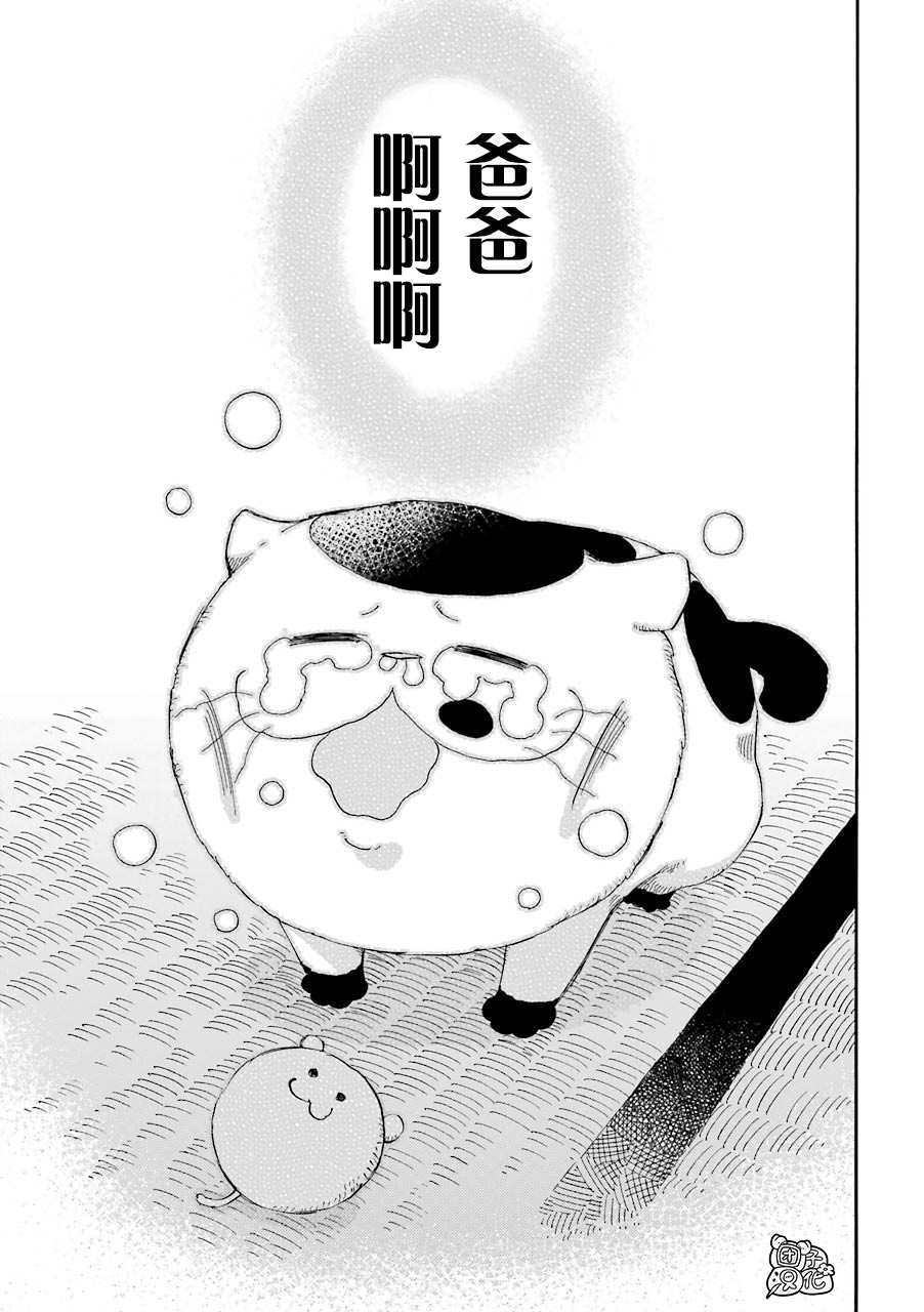 第55话-大叔与猫-樱井海（第9张）