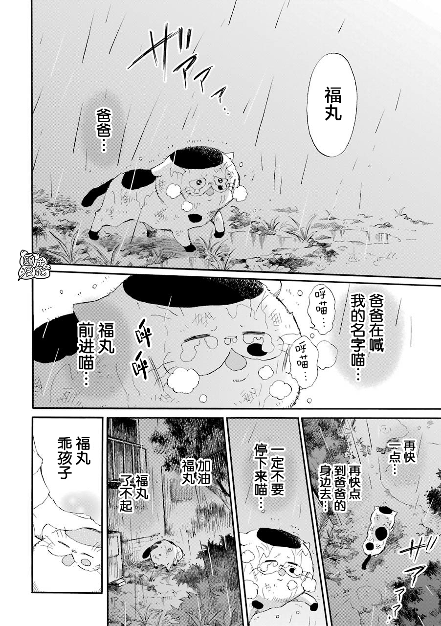 第54话-大叔与猫-樱井海（第16张）