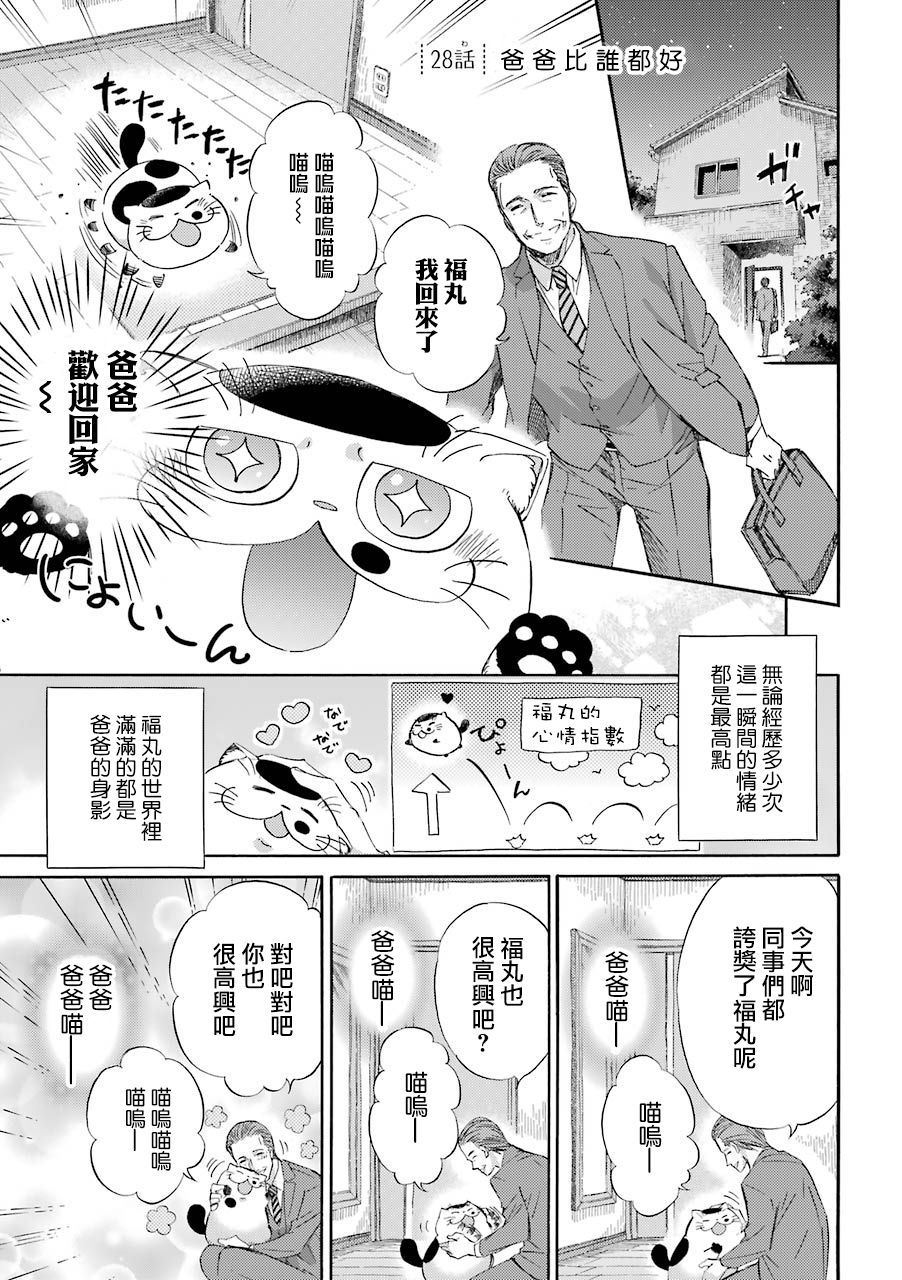 第31话-大叔与猫-樱井海（第5张）