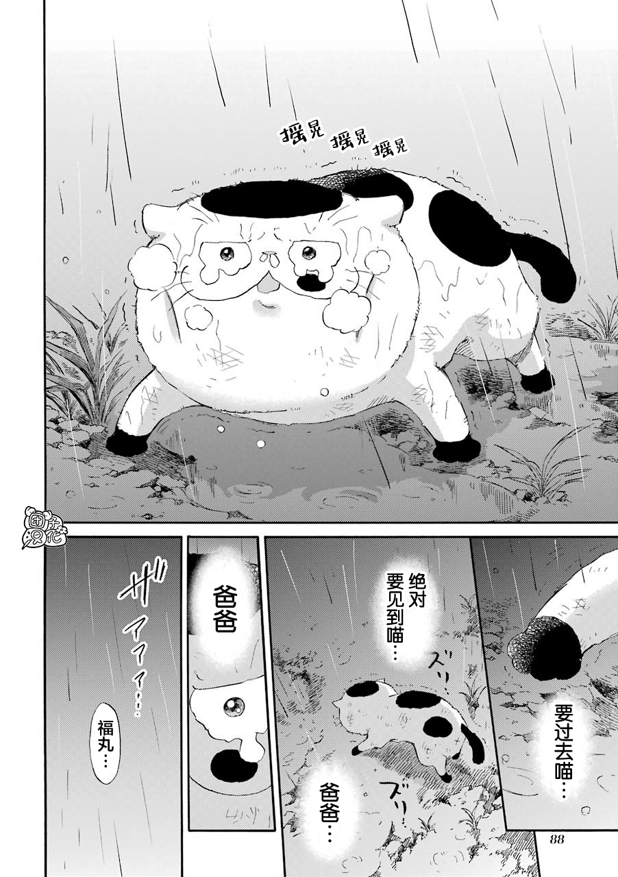 第54话-大叔与猫-樱井海（第12张）