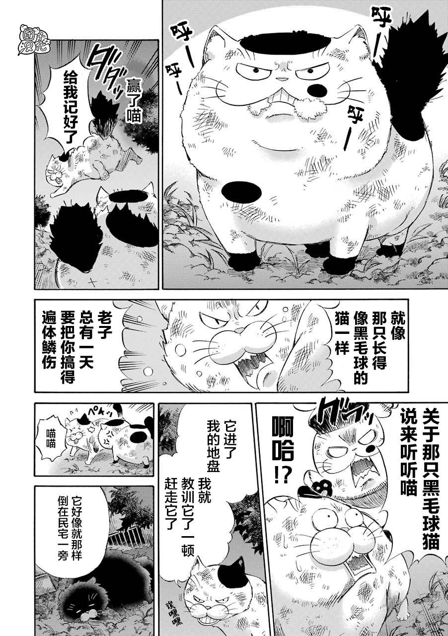 第52话-大叔与猫-樱井海（第6张）