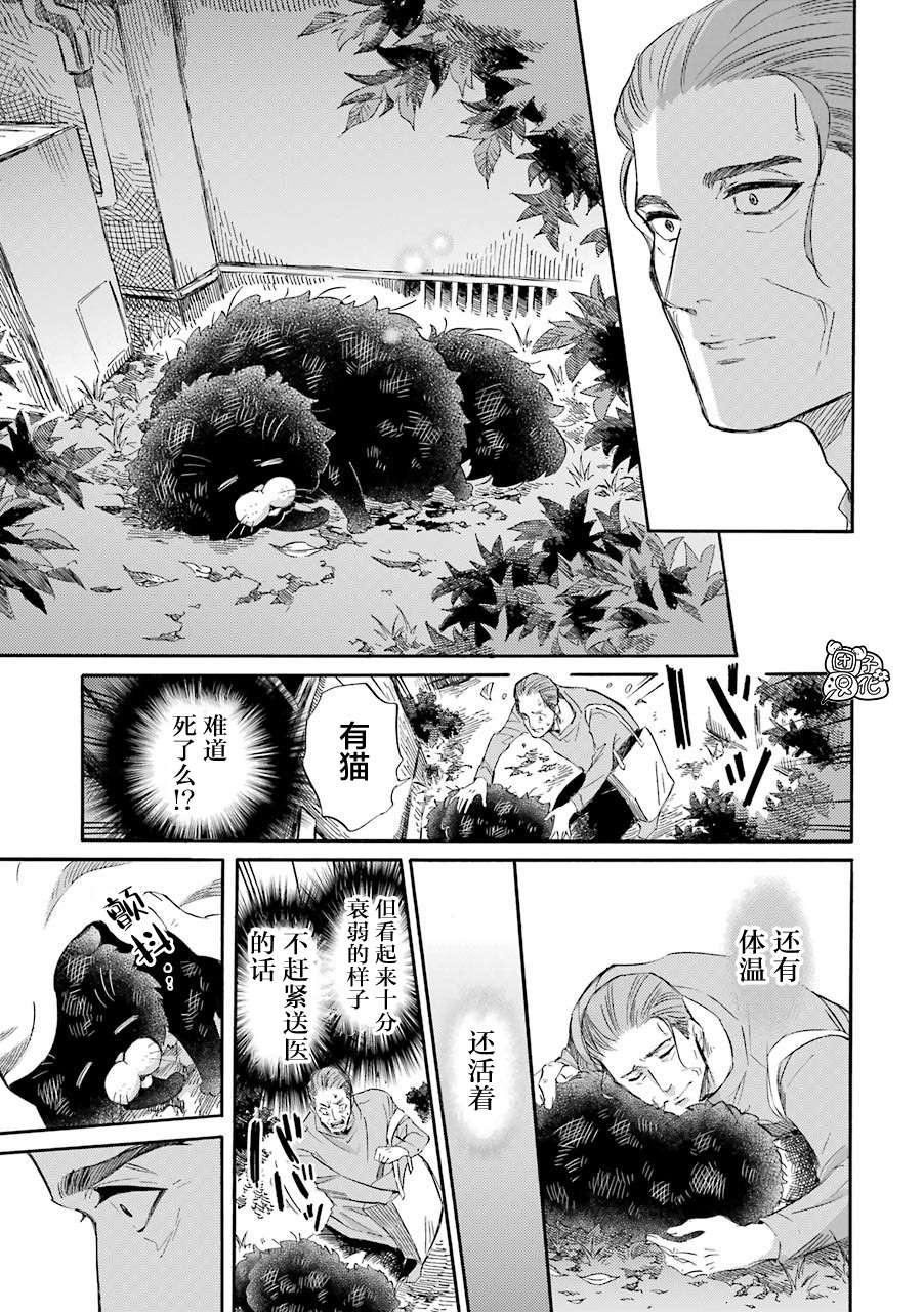 第49话-大叔与猫-樱井海（第11张）