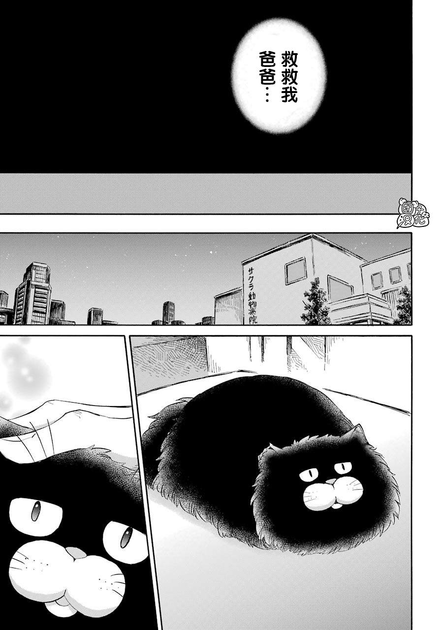 第50话-大叔与猫-樱井海（第7张）