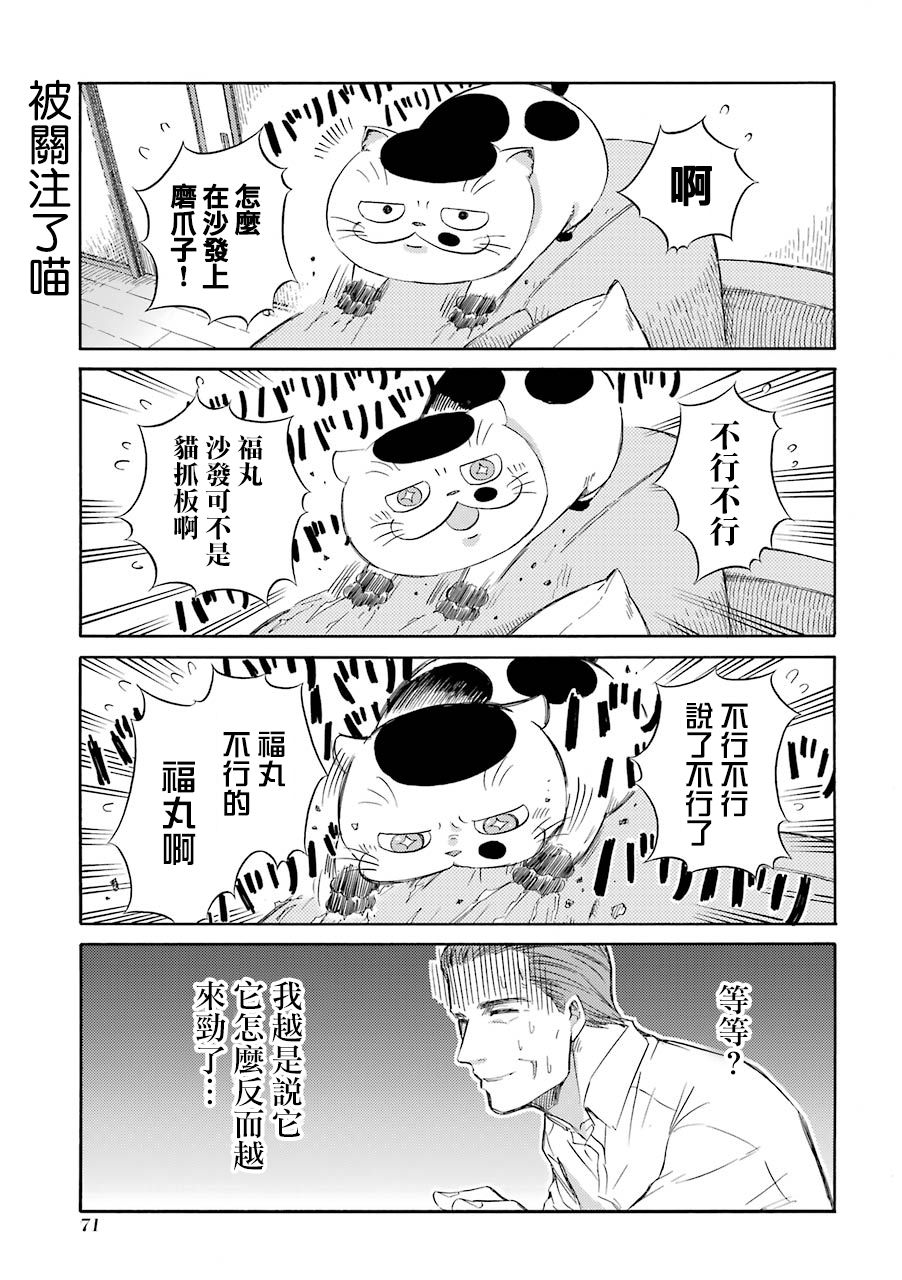 第31话-大叔与猫-樱井海（第9张）