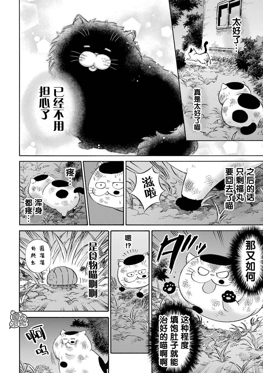 第52话-大叔与猫-樱井海（第8张）