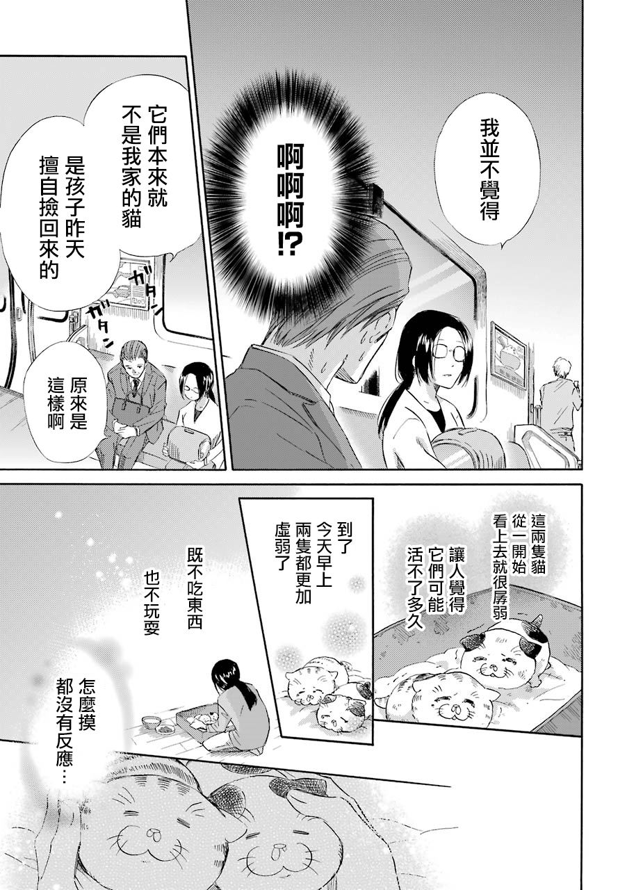 第29话-大叔与猫-樱井海（第9张）