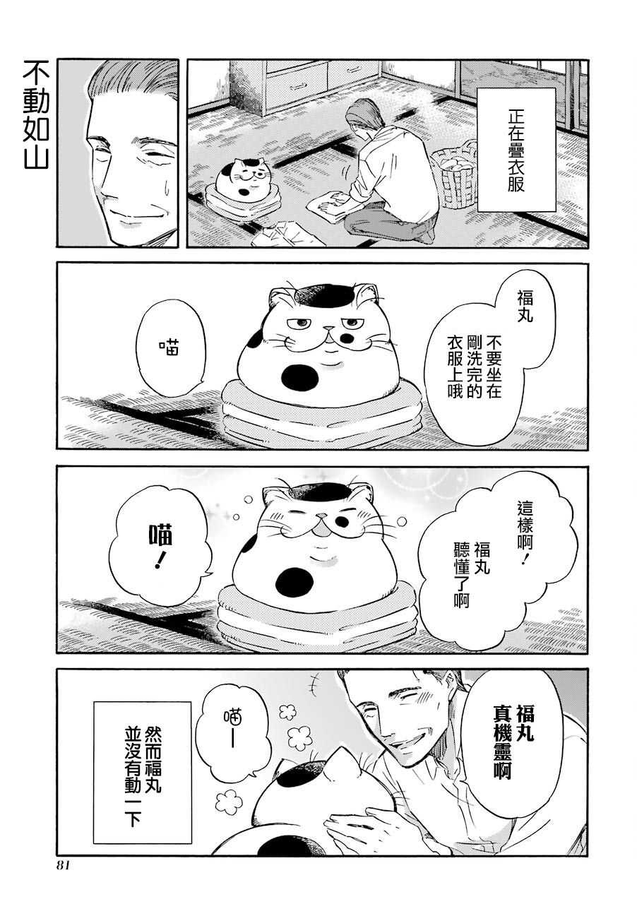第15话-大叔与猫-樱井海（第9张）