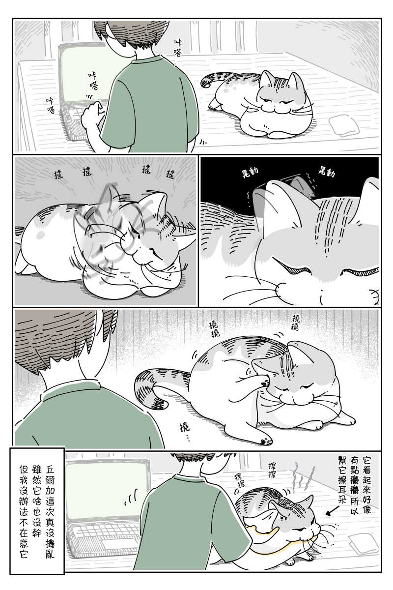 第70话-关于养猫我一直是新手-キュルZ（第3张）