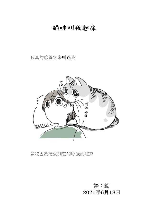 第69话-关于养猫我一直是新手-キュルZ（第4张）