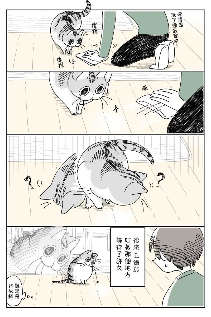 第68话-关于养猫我一直是新手-キュルZ（第3张）