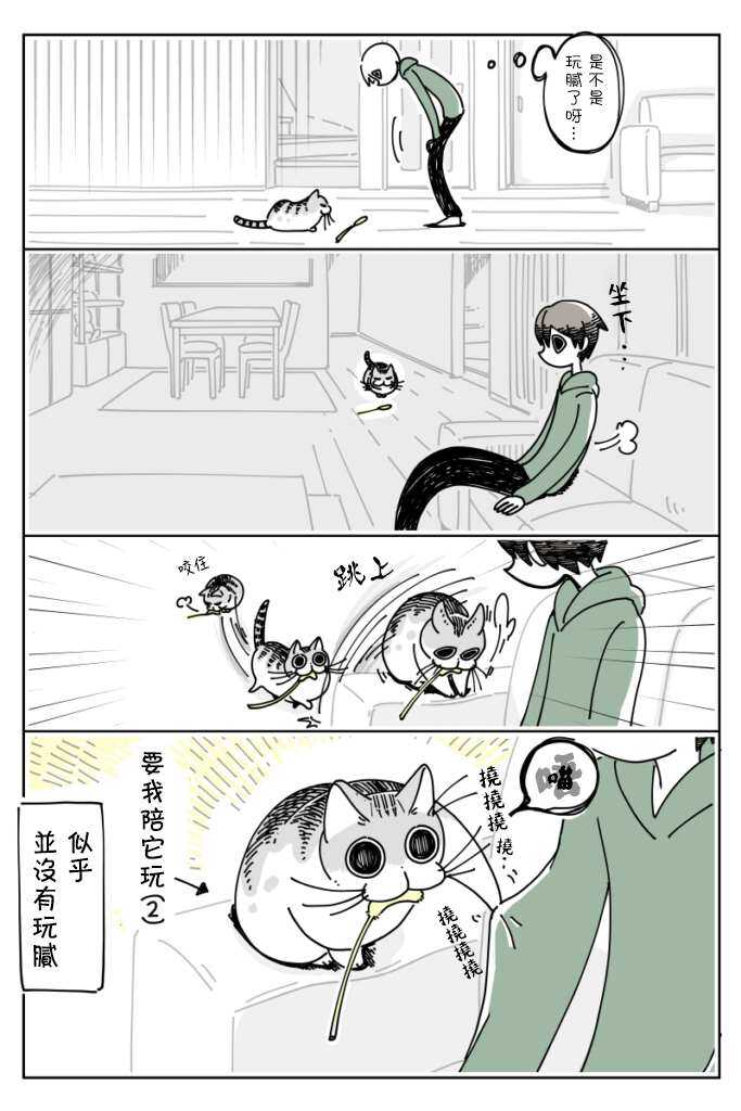 第13话-关于养猫我一直是新手-キュルZ（第4张）