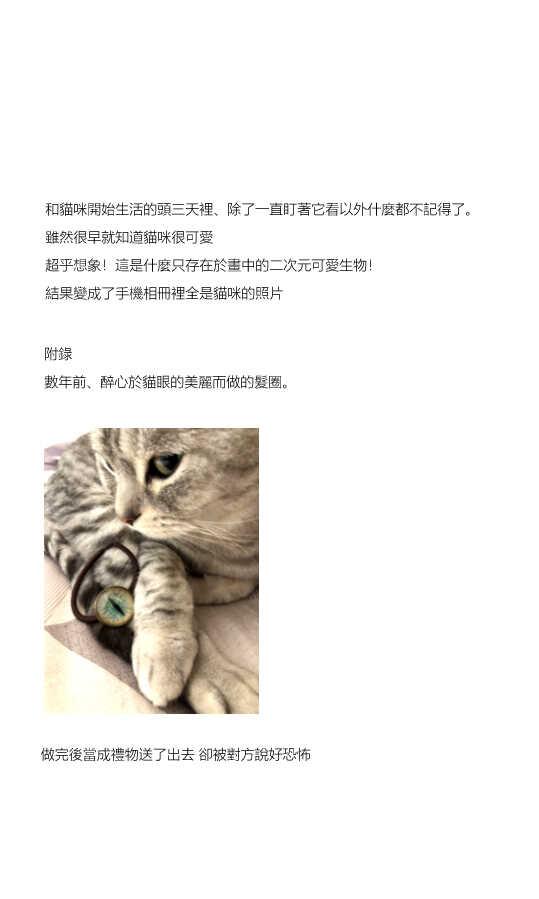 第3话-关于养猫我一直是新手-キュルZ（第4张）