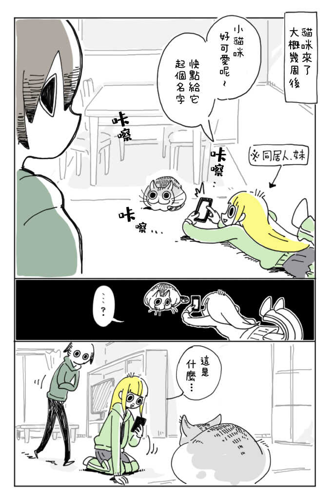 第3话-关于养猫我一直是新手-キュルZ（第7张）