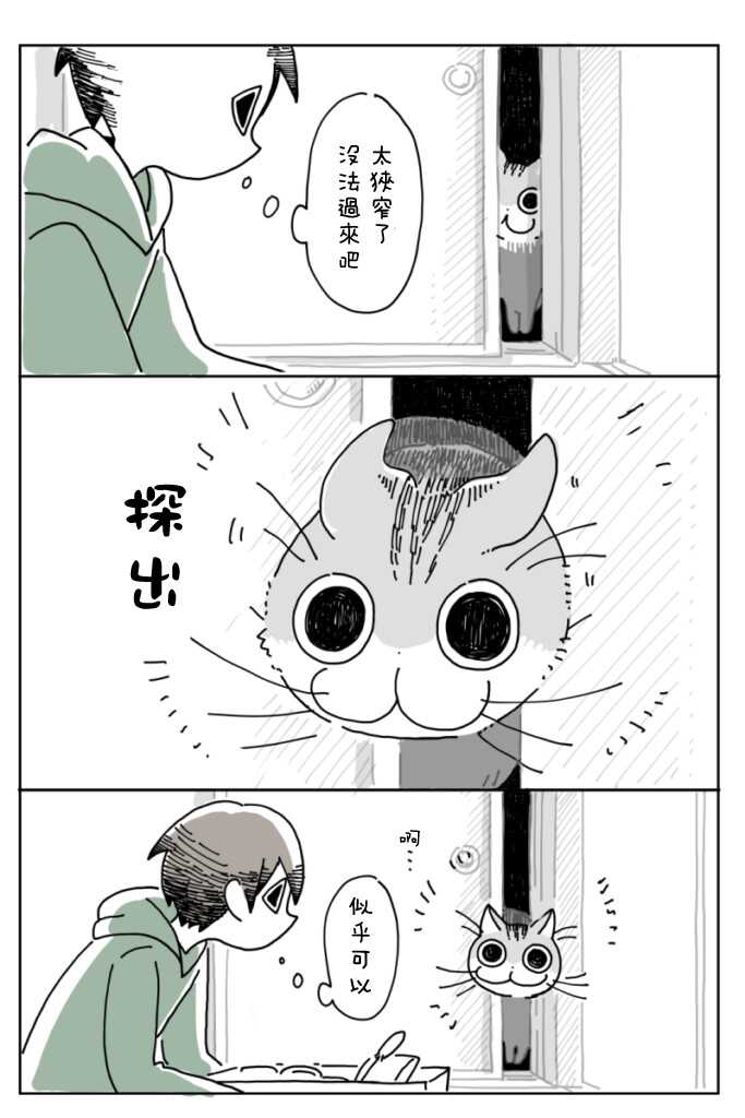 第5话-关于养猫我一直是新手-キュルZ（第15张）