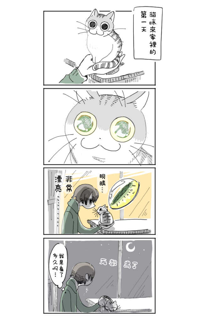 第3话-关于养猫我一直是新手-キュルZ（第2张）