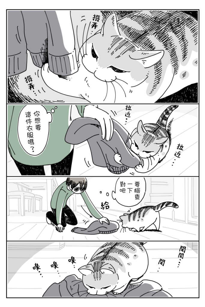 第15话-关于养猫我一直是新手-キュルZ（第3张）