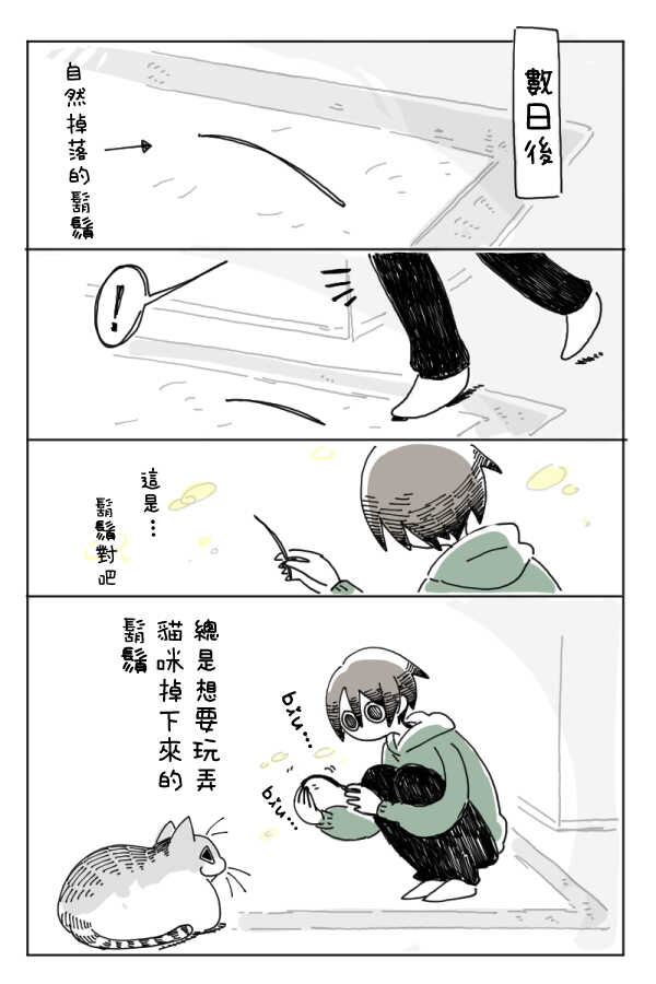 第4话-关于养猫我一直是新手-キュルZ（第11张）