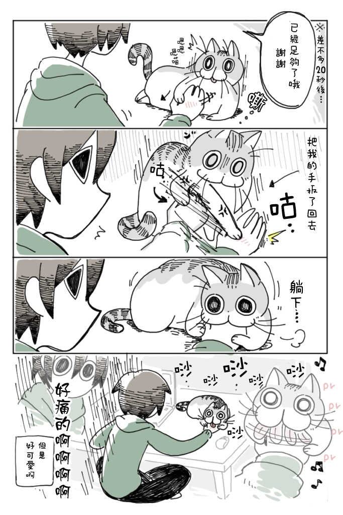 第4话-关于养猫我一直是新手-キュルZ（第6张）