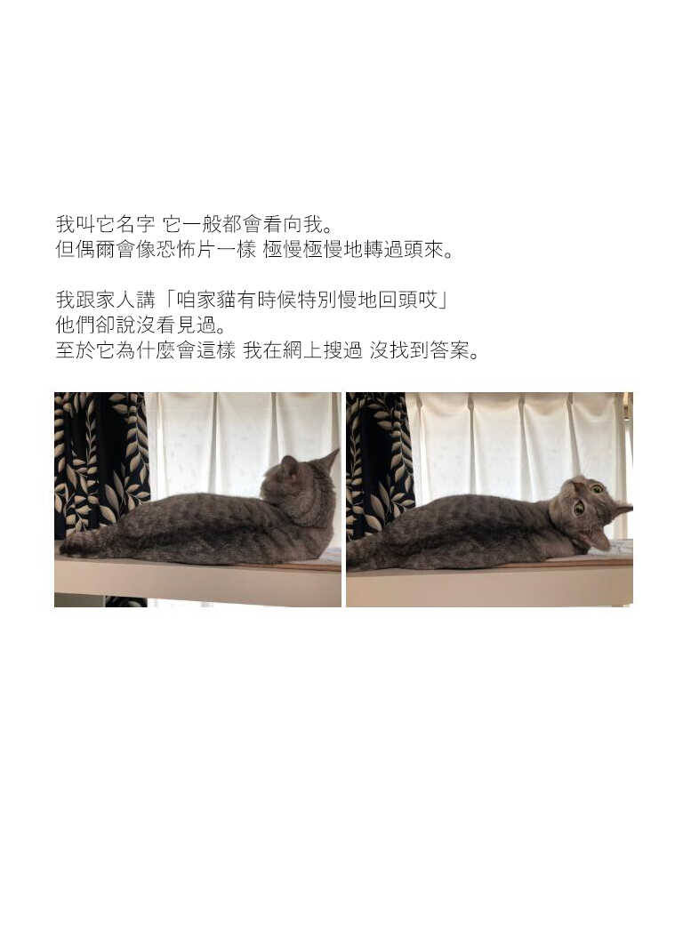 第19话-关于养猫我一直是新手-キュルZ（第4张）