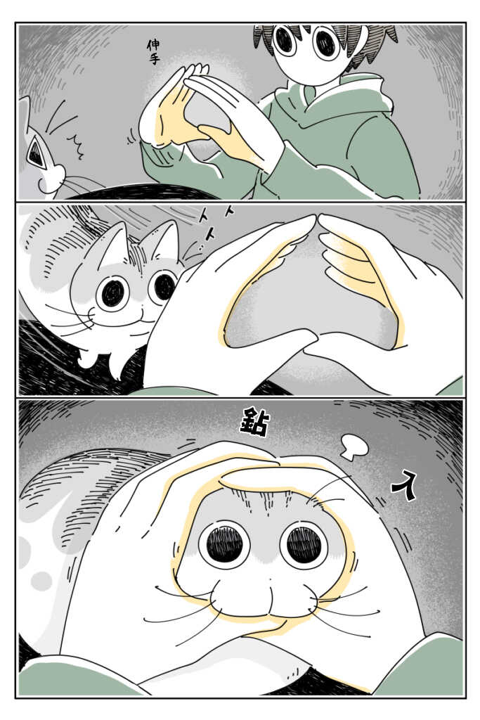 第36话-关于养猫我一直是新手-キュルZ（第2张）
