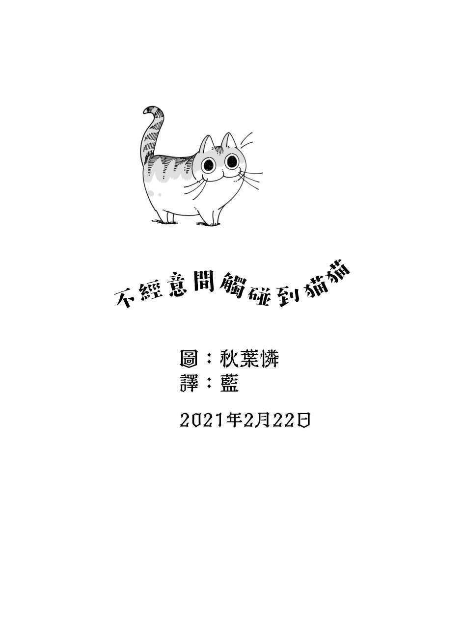 第43话-关于养猫我一直是新手-キュルZ（第4张）